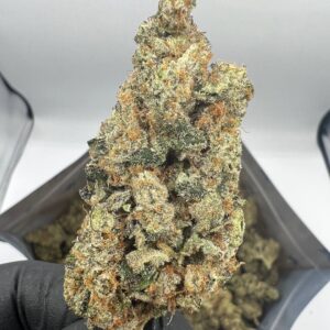 Biscotti Strain