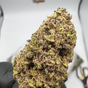 Blueberry Strain