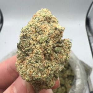 Girl Scout Cookies