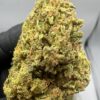 Guava Weed Strain